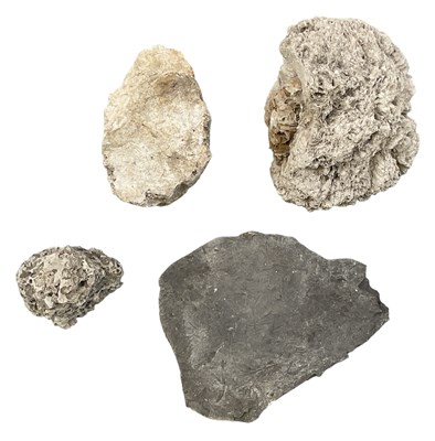 Lot 299 - FOSSILS; a large slate panel containing...