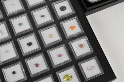 Lot 203 - Two gem collector boxes containing twenty-four...