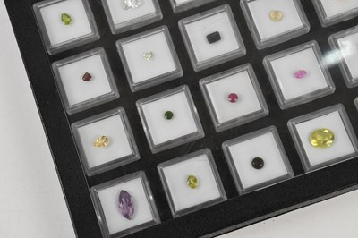 Lot 203 - Two gem collector boxes containing twenty-four...