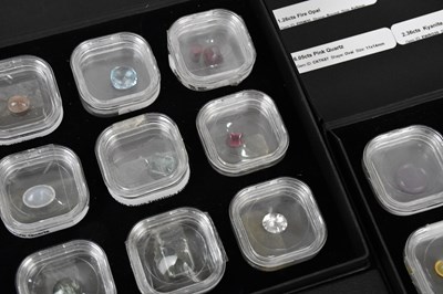 Lot 203 - Two gem collector boxes containing twenty-four...