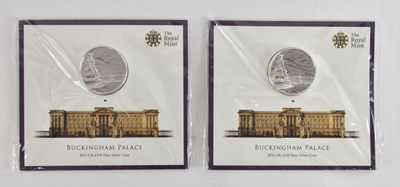 Lot 1630 - ROYAL MINT; two 2015 UK £100 Buckingham Palace...