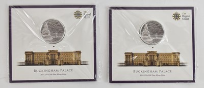 Lot 1631 - ROYAL MINT; two 2015 UK £100 Buckingham Palace...