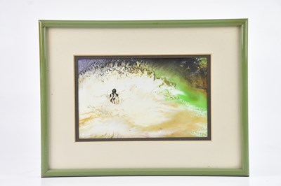 Lot 615 - ELEANOR CLAYFORTH; watercolour, 'Veins Escape',...