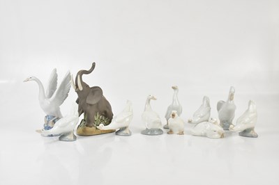 Lot 1588 - NAO; a mixed collection of swan and geese...