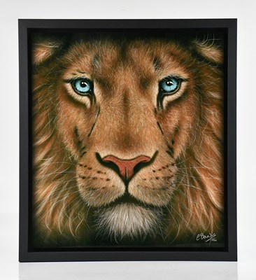 Lot 33 - COLIN BANKS; a signed limited edition print on...
