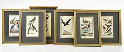 Lot 1023 - Eight French hand coloured engravings of birds,...