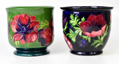 Lot 313 - MOORCROFT; two 'Anemone' pattern jardinières,...
