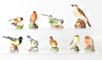 Lot 228 - ROYAL WORCESTER; nine models of birds,...