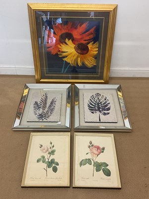 Lot 302 - A decorative floral print and four others, all...