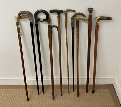 Lot 7 - A collection of various walking sticks and...