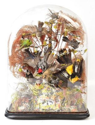 Lot 275 - A Victorian taxidermy display containing...
