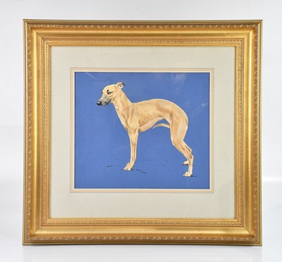 Lot 1066 - VIC GRANGER; watercolour, study of a greyhound,...