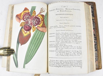 Lot 34 - SIMS (JOHN), CURTIS’S BOTANICAL MAGAZINE OR...