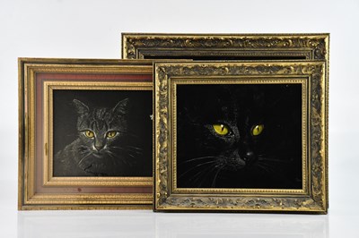 Lot 1184 - JASON; three oils on fabric, black, white and...