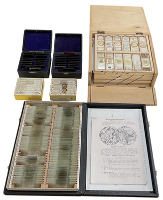 Lot 262 - A geologist's collection of microscope slides,...