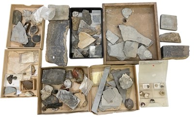 Lot 311 - FOSSILS; a paleantologist's collection of...