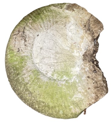 Lot 358 - A large reconstituted stone ammonite fossil,...