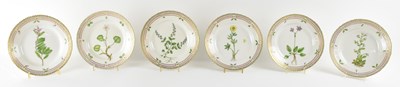 Lot 517 - ROYAL COPENHAGEN; a set of six botanical...