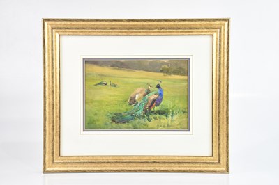 Lot 511 - MILDRED ANN BUTLER; watercolour, peacocks in a...