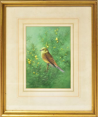 Lot 428 - RAYMOND CYRIL WATSON (1935-1994); gouache,...