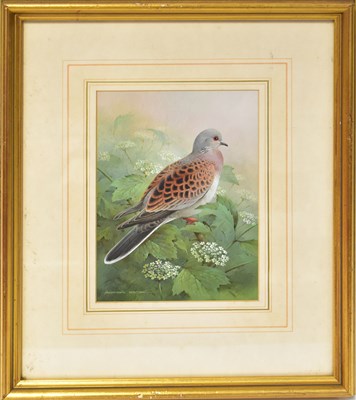 Lot 427 - RAYMOND CYRIL WATSON (1935-1994); gouache,...