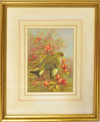 Lot 426 - RAYMOND CYRIL WATSON (1935-1994); gouache,...