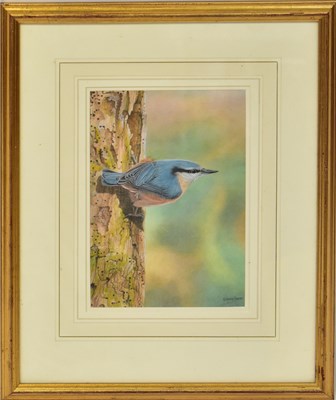 Lot 415 - DENNIS GREEN (1942-2024); gouache, 'Nuthatch',...