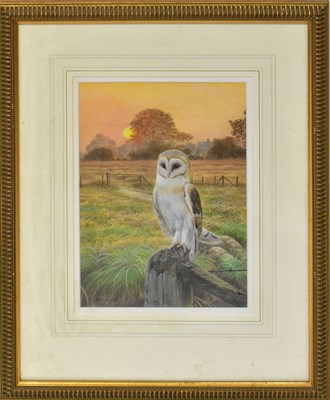 Lot 400 - DENNIS GREEN (1942-2024); gouache, 'Barn Owl...