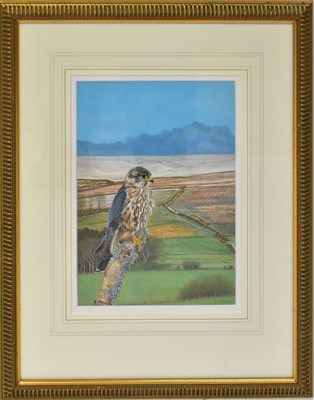 Lot 403 - DENNIS GREEN (1942-2024); gouache, 'Cock...