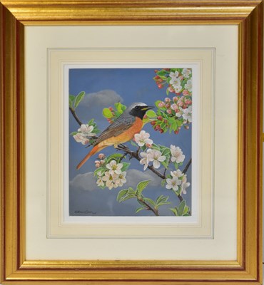 Lot 406 - DENNIS GREEN (1942-2024); gouache, Common...