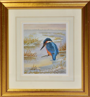 Lot 410 - DENNIS GREEN (1942-2024); gouache, 'Kingfisher...