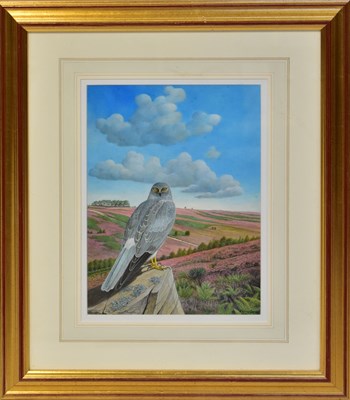Lot 413 - DENNIS GREEN (1942-2024); gouache, 'Male Hen...