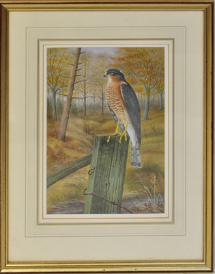 Lot 382 - DENNIS GREEN (1942-2024);...