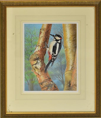 Lot 411 - DENNIS GREEN (1942-2024); gouache, 'Male Great...