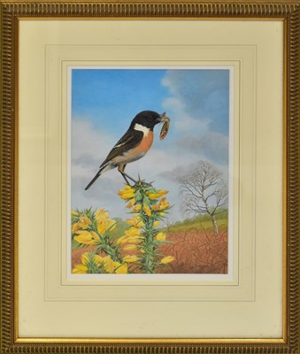 Lot 405 - DENNIS GREEN (1942-2024); gouache, 'Cock...