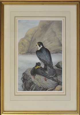 Lot 414 - DENNIS GREEN (1942-2024); gouache, 'Male...