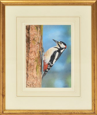 Lot 412 - DENNIS GREEN (1942-2024); gouache, 'Male Great...