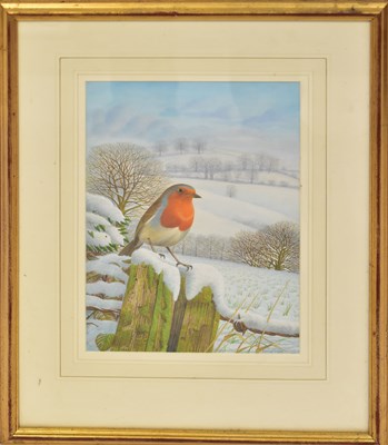 Lot 418 - DENNIS GREEN (1942-2024); gouache, 'Robin -...