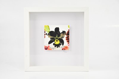 Lot 545 - MARC QUINN; a signed limited edition print,...