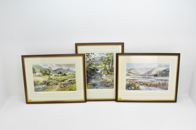 Lot 462 - AFTER JUDY BOYES (British, b. 1943); three...