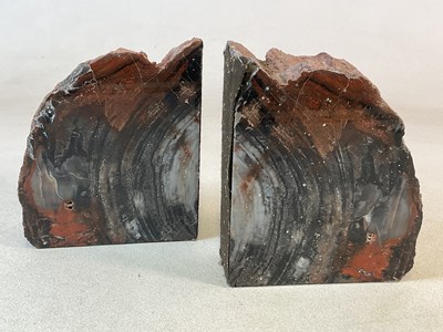 Lot 203 - A pair of fossilised petrified wood bookends,...