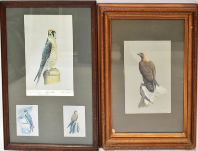 Lot 384 - JOHN FRANK HAYWOOD (1936-1991); mixed media,...