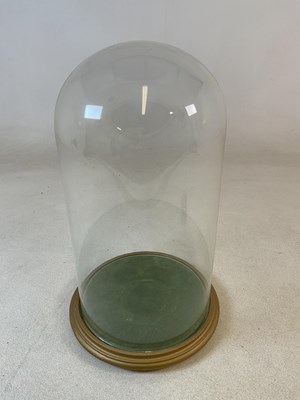 Lot 204 - A glass domed display case on a painted and...