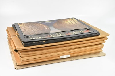 Lot 625 - PIRELLI; a collection of thirteen calendars...