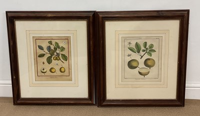 Lot 508 - AFTER CLAUDE AUBRIET (1665-1742); a pair of...