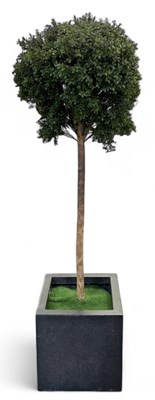 Lot 115 - A modern artificial simulated boxwood Buxus...