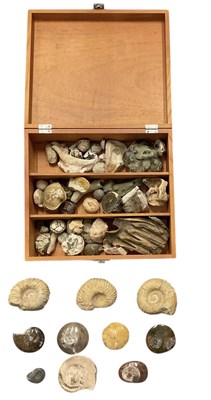 Lot 323 - A paleontologists' collection of assorted...