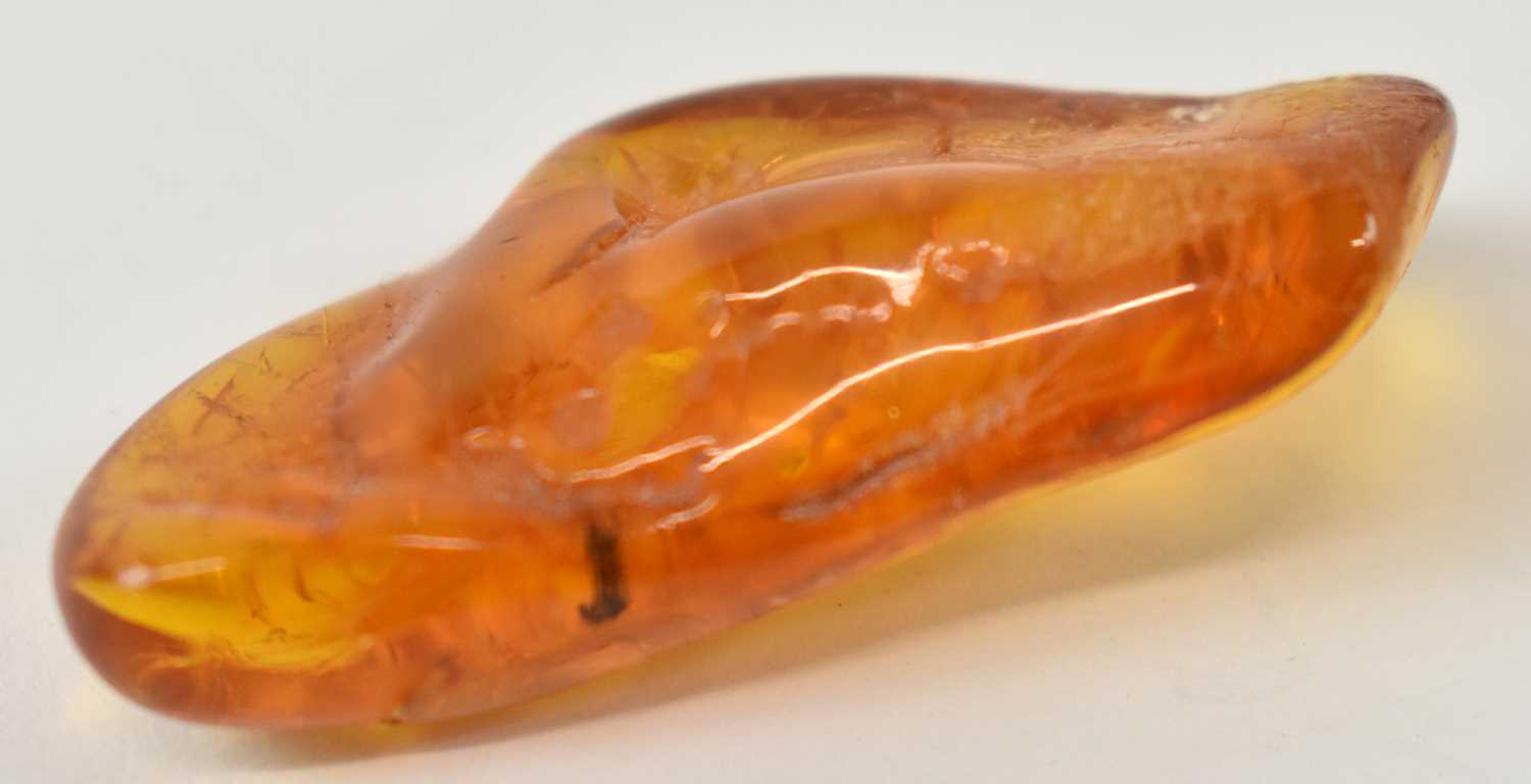 Lot 578 - An amber specimen with encased mosquito,...