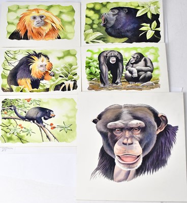 Lot 847 - ANTHONY SMITH (British, contemporary); six...