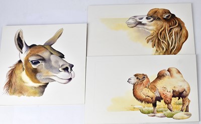 Lot 845 - ANTHONY SMITH (British, contemporary); three...